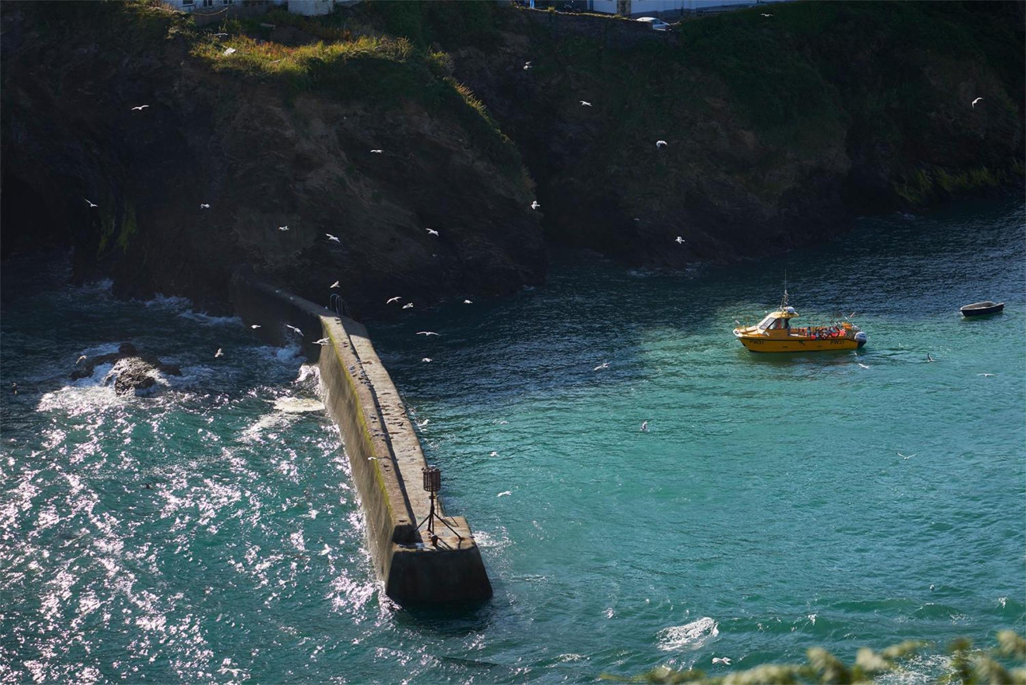 Outlaw'S Guest House Port Isaac Esterno foto